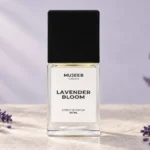 Lavender Bloom